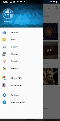 GIF Player - OmniGIF Pro