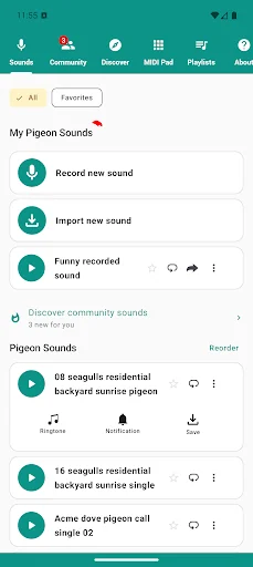 Pigeon Sounds screenshot 1