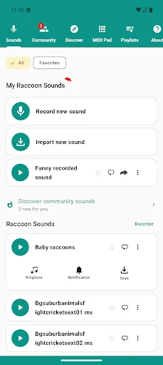 Raccoon Sounds screenshot 1