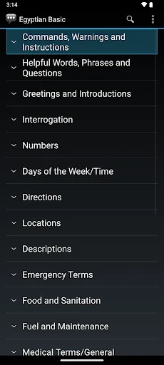 Egyptian Basic Phrases screenshot 1