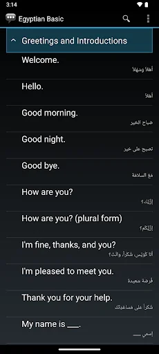 Egyptian Basic Phrases screenshot 2