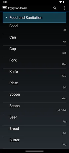 Egyptian Basic Phrases screenshot 4