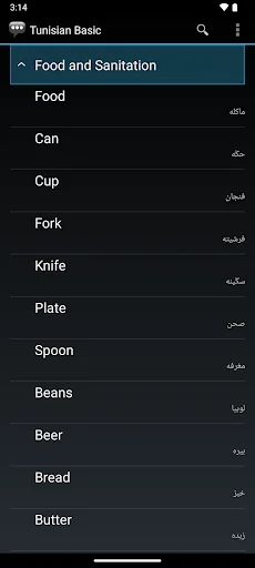 Tunisian Arabic Basic Phrases screenshot 4