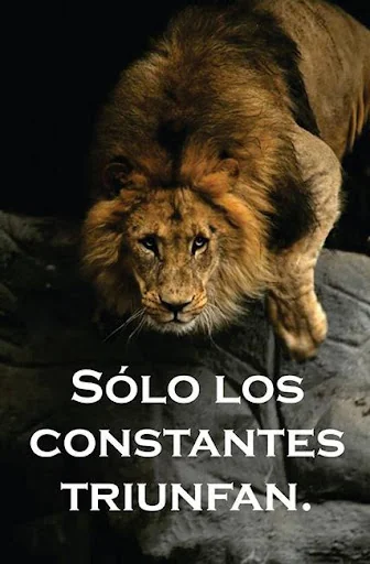 Imágenes de motivación screenshot 2
