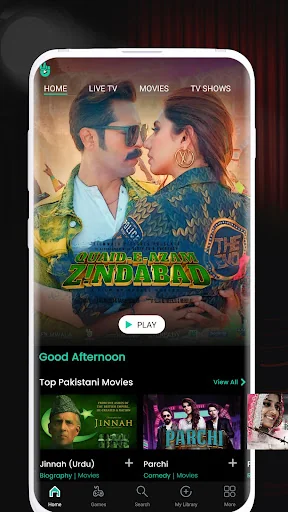Vidly.tv: Pakistani Movies