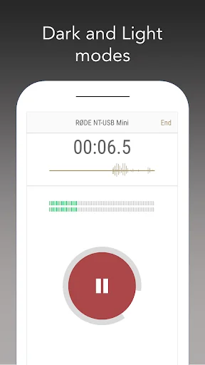 RØDE Reporter screenshot 2