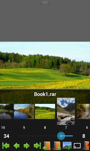 Perfect Viewer PDF&DJVU Plugin screenshot 3
