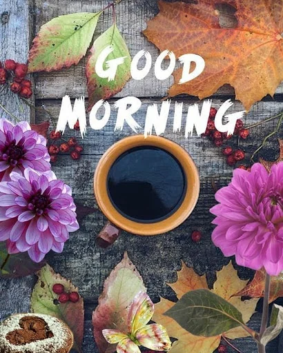 Good Morning Flower Wishes
