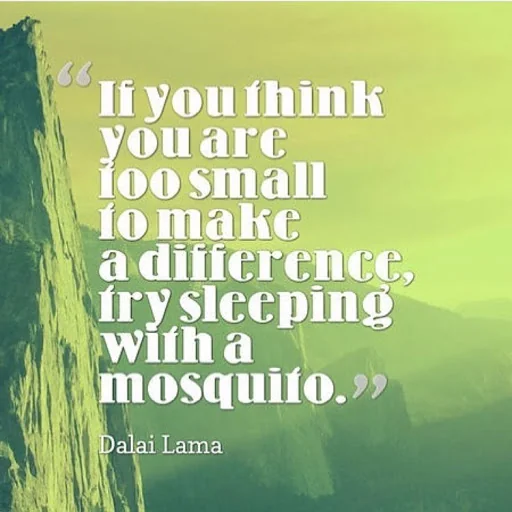 Positive Inspirational Quotes screenshot 1