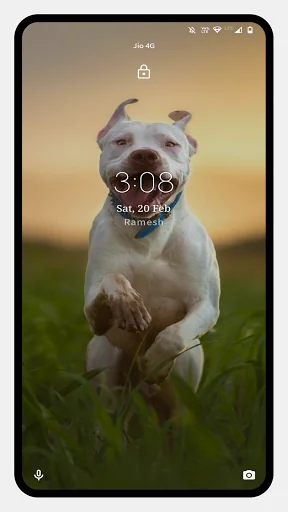 Pitbull Dog Wallpaper screenshot 3