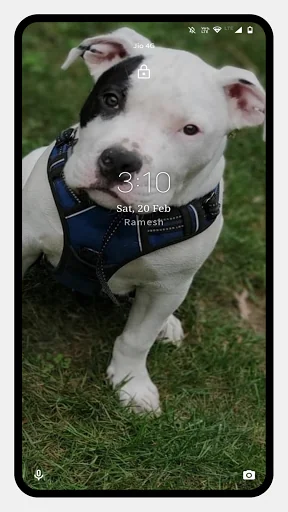 Pitbull Dog Wallpaper screenshot 4
