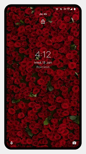 Red Rose HD Wallpapers