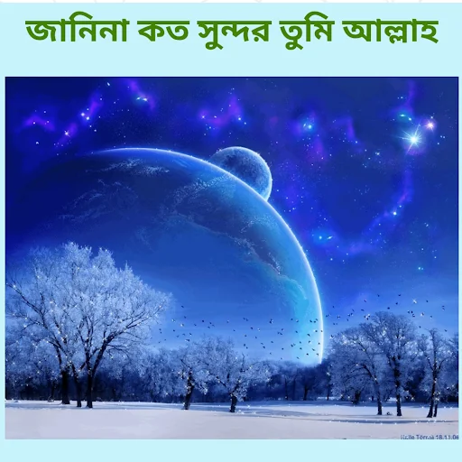 বাছাই করা গজল অডিও offline