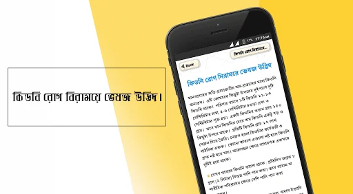 কিডনি ভালো রাখার উপায়