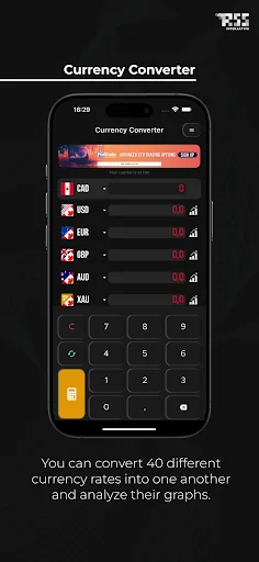 Currency Converter: Calculator