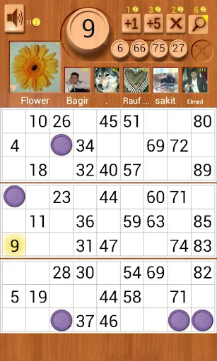 Loto Online screenshot 1