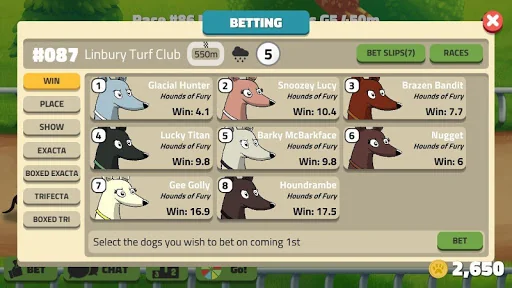 Hounds of Fury: Greyhound Race screenshot 3