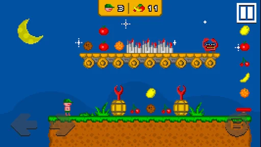 Pixel Boy: Summer Adventures screenshot 3