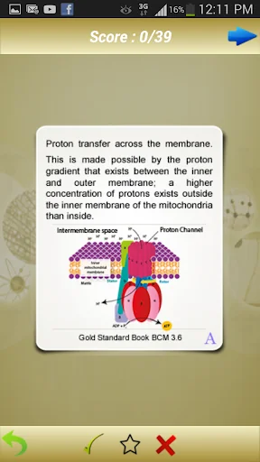 MCAT Biochemistry Flashcards