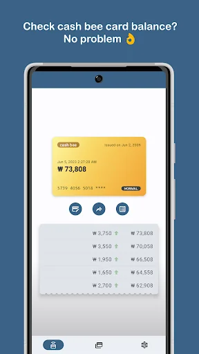 Korea Transit Card Check screenshot 3