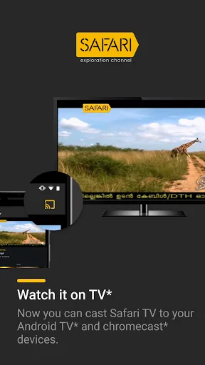 Safari TV
