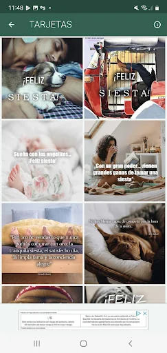 Siesta tiempo de descansar