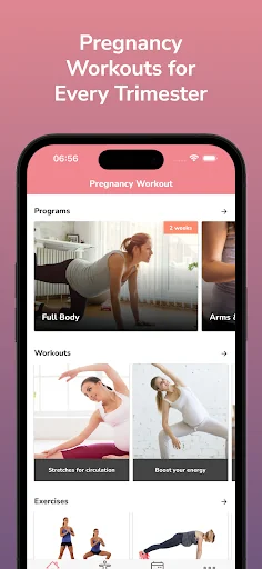 Pregnancy Workout Program