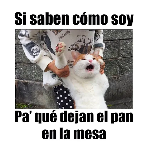 Imagenes chistosas