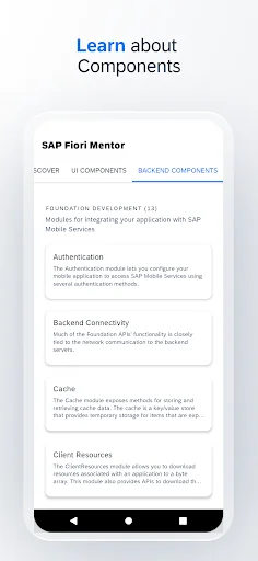 SAP Fiori Mentor