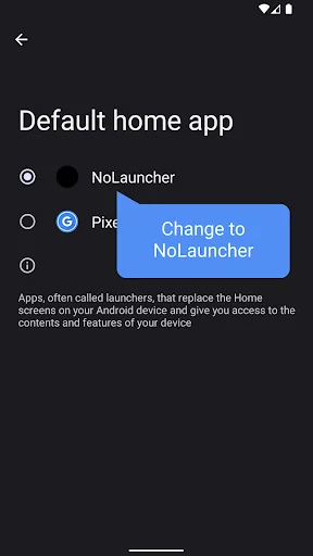 NoLauncher (Only 0.8MB) screenshot 2