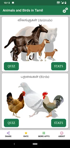 Tamil Animals and Birds - Quiz