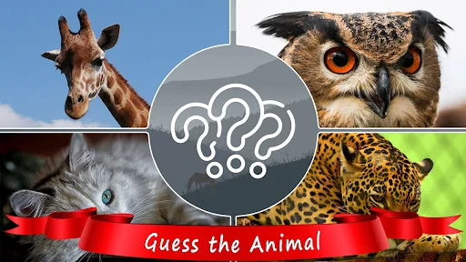 Guess the Animal