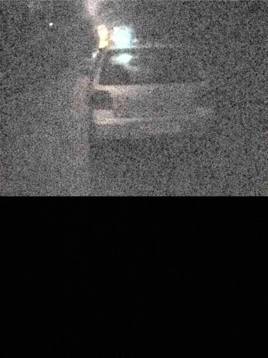 Ferret Night Camera screenshot 4