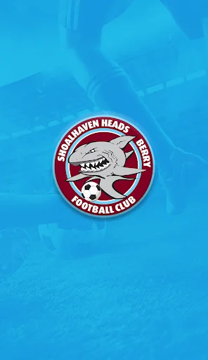 Shoalhaven Heads Berry FC