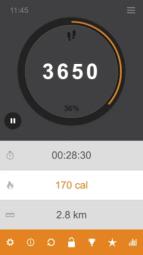 365 Pedometer