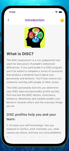 DISC TEST - Personality Test screenshot 1