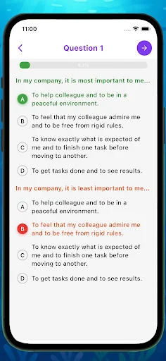 DISC TEST - Personality Test screenshot 3