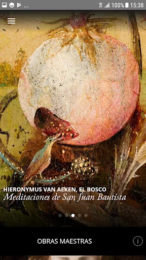Second Canvas Museo Lázaro Gal