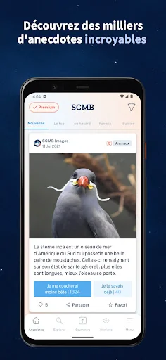 Se Coucher Moins Bête screenshot 1