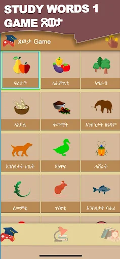 Word Learner ተማሃራይ ቃላት