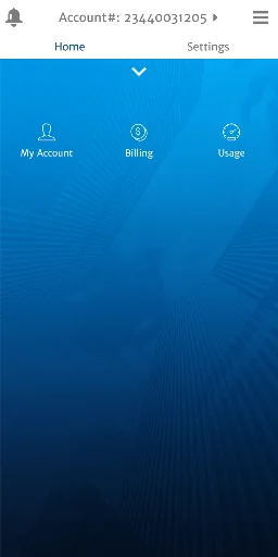 Bihar Bijli Smart Meter screenshot 2