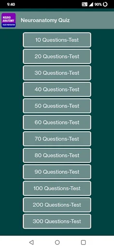 Neuroanatomy Quiz