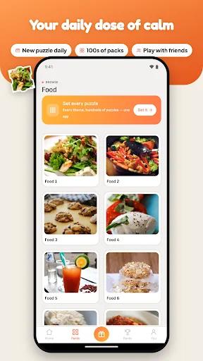 Food Puzzle