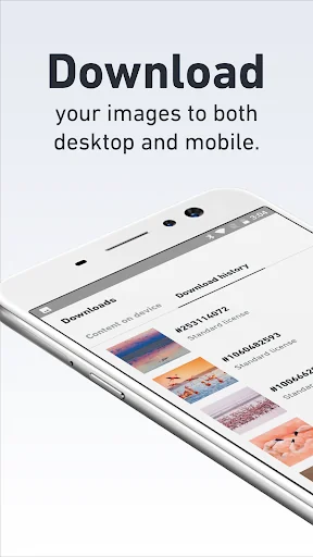 Shutterstock - Image & Video