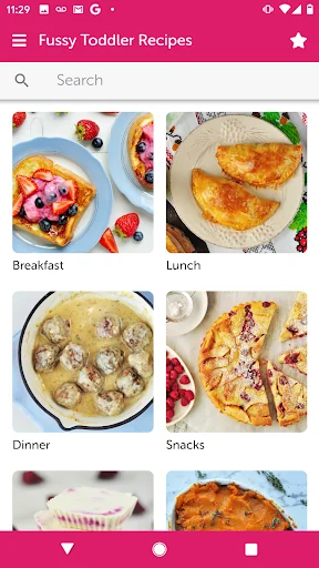 Fussy Toddler Recipes