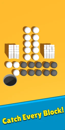 Blocks Catcher Hole