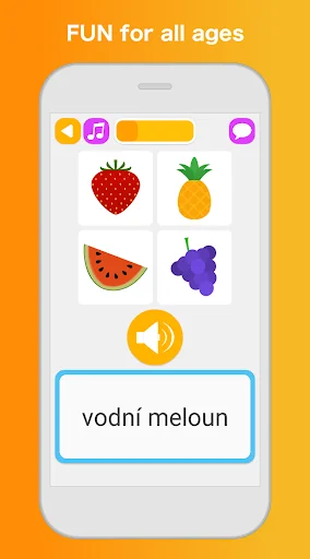 Learn Czech Language
