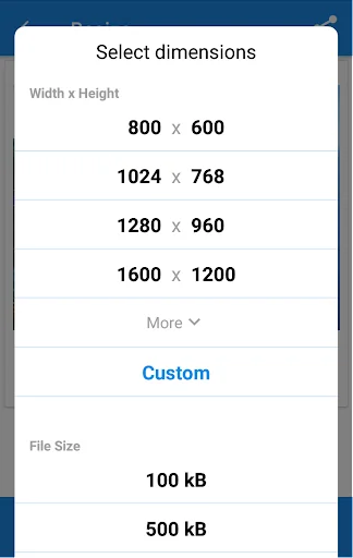 Photo & Picture Resizer screenshot 3