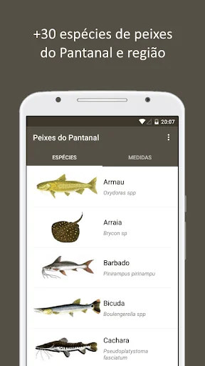 Peixes do Pantanal
