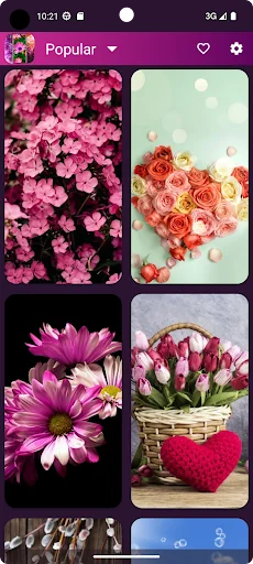 Flower Wallpapers - Flowrify